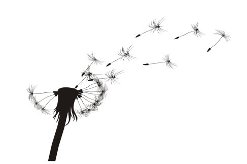 Imagem colhida no excelente: http://queimandoemsonhos.blogspot.com/