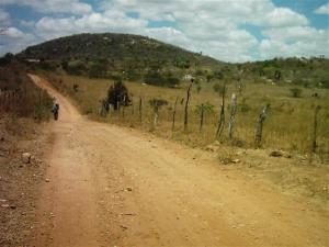 Caminho de Sertão e de Rosa